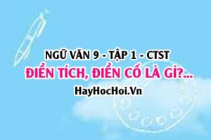 Điển tích và điển cố là gì? Ví dụ điển tích, điển cố? Ngữ văn lớp 9